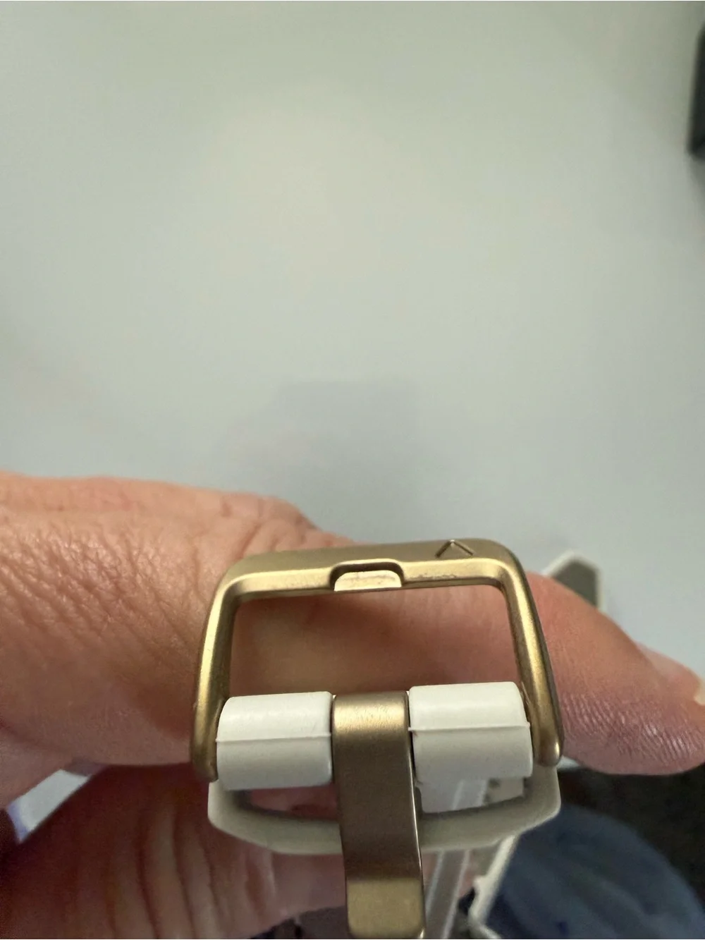Garmin Fenix 8 Amoled Sapphire GPS smartwatch Light Gray and soft gold - EUC